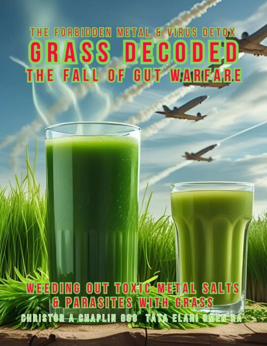 Grass Decoded - The Fall of Gut Warfare - The Forbidden Heavy Metal & Virus Detox
